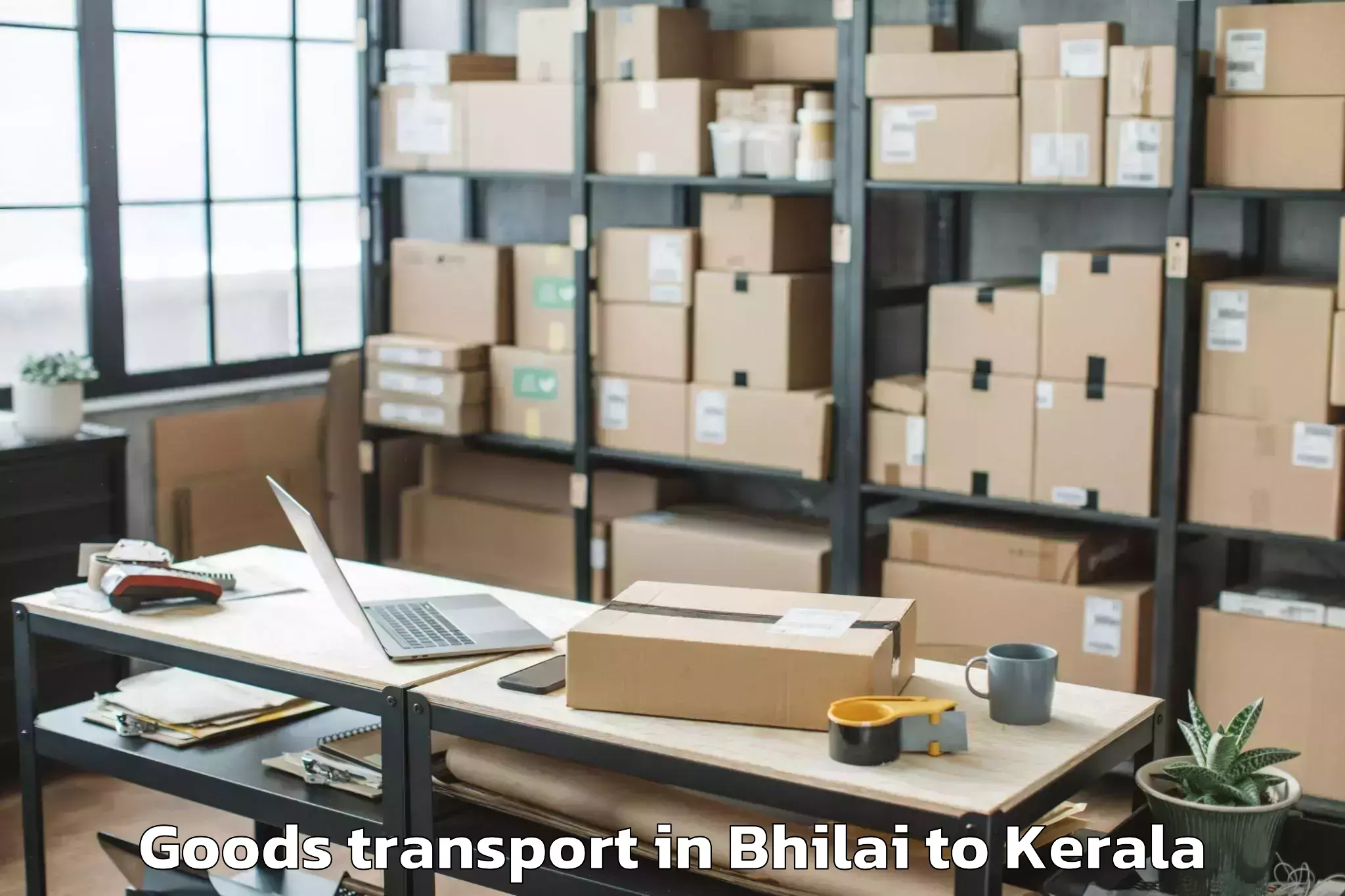 Bhilai to Alappuzha Goods Transport